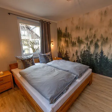 Auszeit-im-harz Haus 3 5 Apartment Braunlage